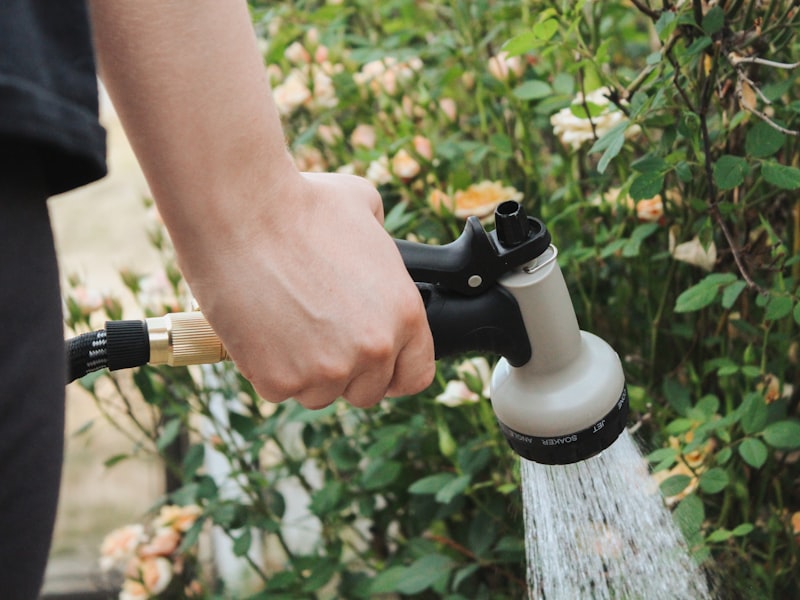 Person spraying water with garden hose